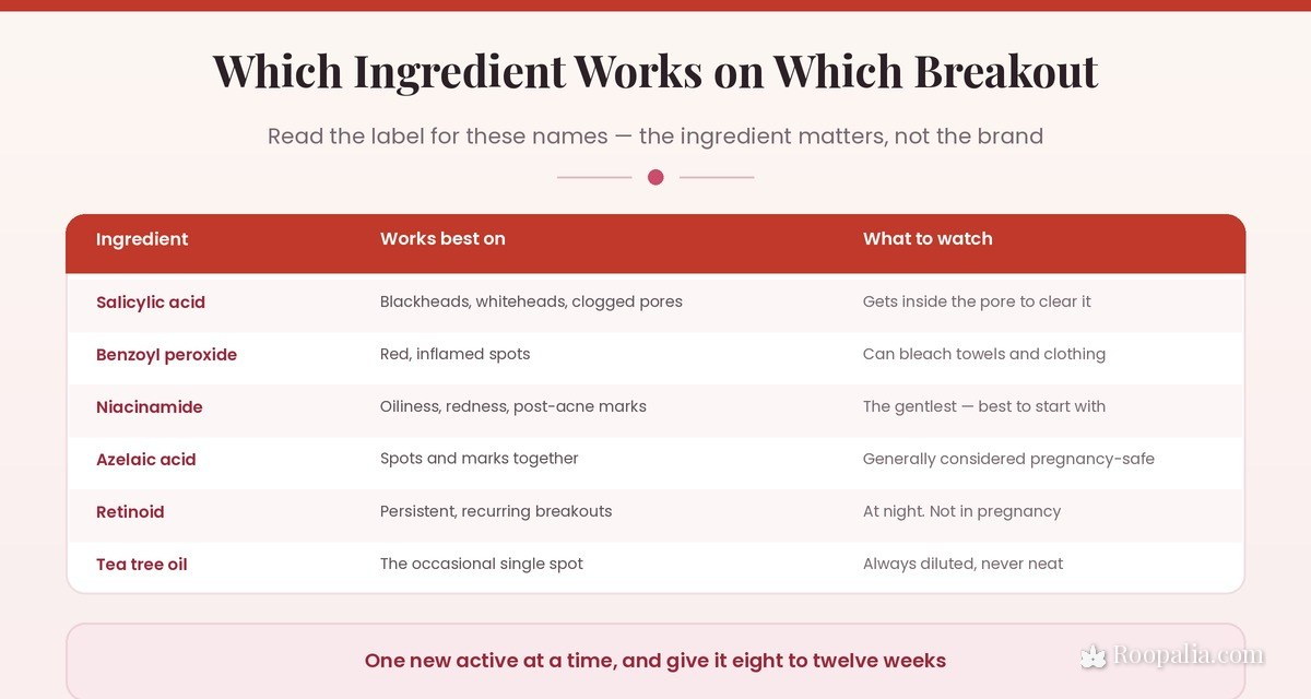 Acne ingredients compared — salicylic acid, benzoyl peroxide, niacinamide, azelaic acid, retinoids and tea tree oil