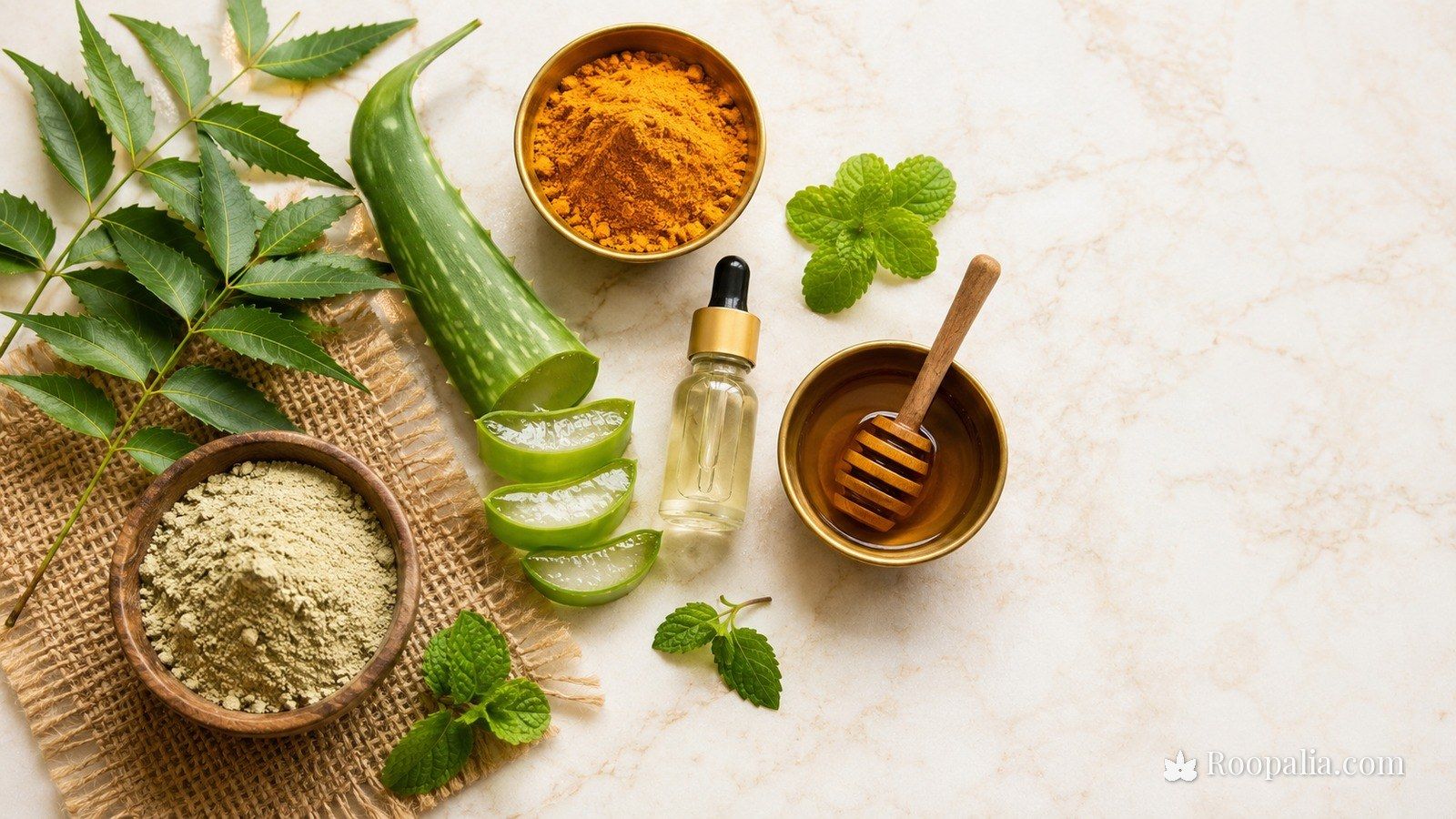Natural remedies for acne — neem leaves, aloe vera, turmeric, honey, tea tree oil and multani mitti