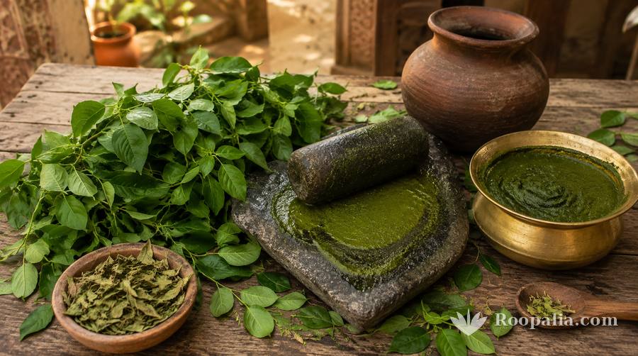 Fresh henna leaves, henna paste ground on a stone sil-batta and a clay pot — the traditional method (Roopalia)