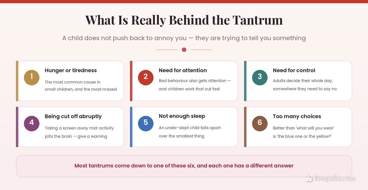 Six real causes behind children's tantrums — hunger, tiredness, attention, control, abrupt interruption and too many choices